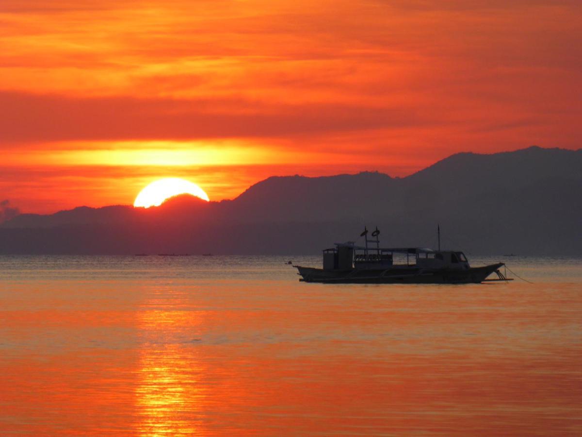 Island View Beachfront Resort Anda  Dış mekan fotoğraf